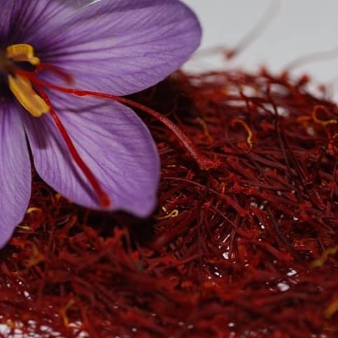 Fleur et pistils rouge de SAFRAN pur de Taliouine