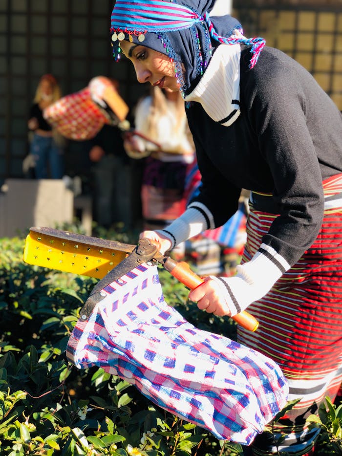 Woman harvesting tea leaves with traditional attire and tool on a bright day.